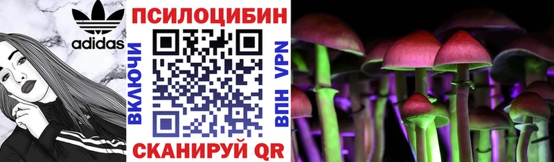 Псилоцибиновые грибы MAGIC MUSHROOMS  Купить  Пенза 